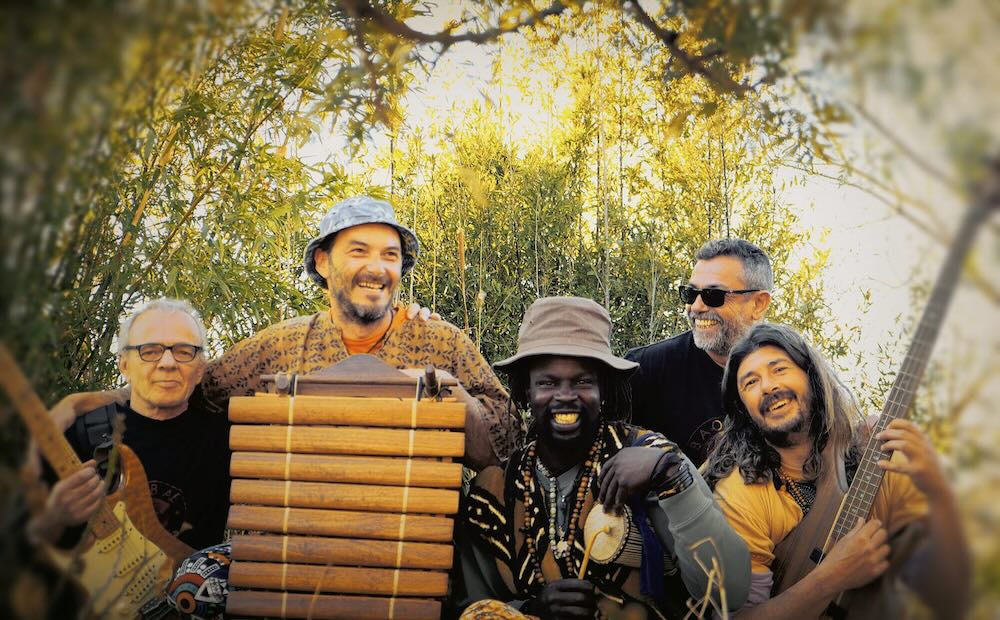 Baobab_Roots