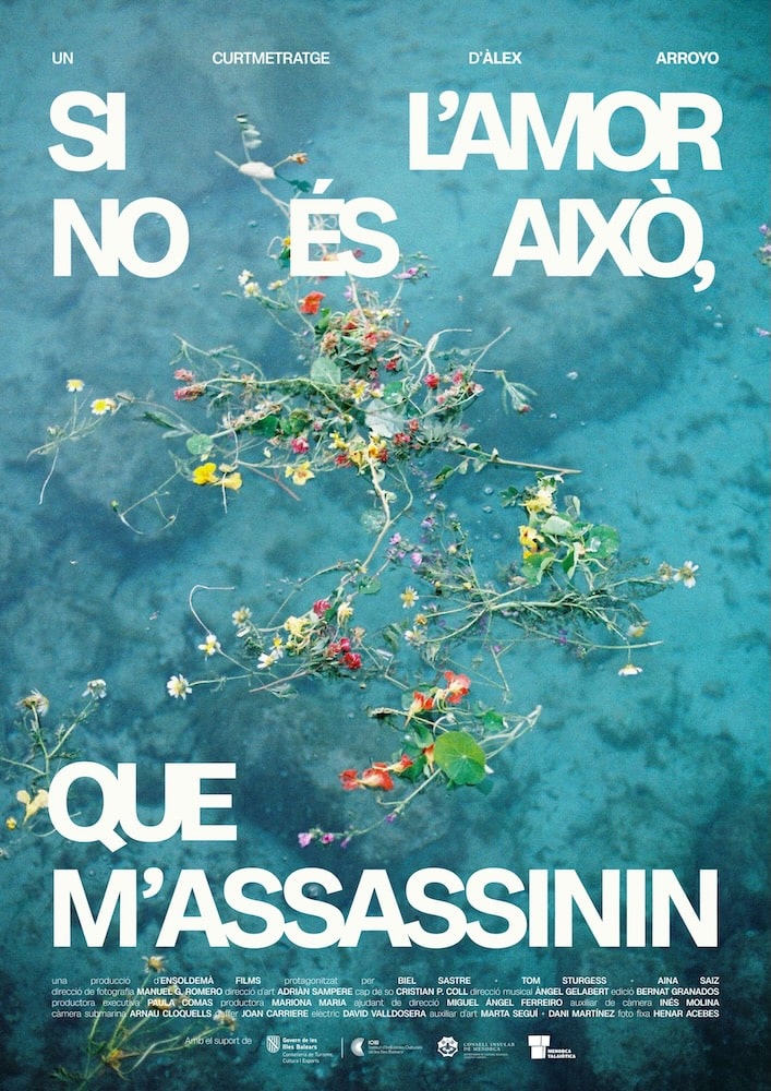 Si l'Amor No És Això, Que m'Assassinin